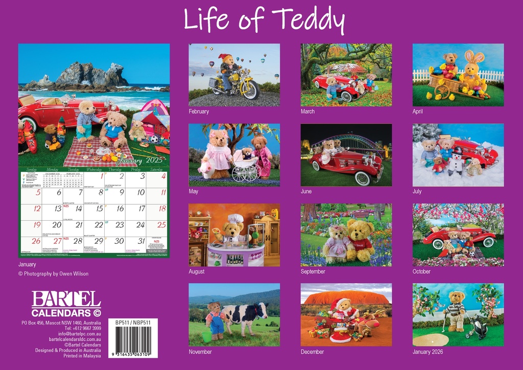 Big Print Life of Teddy 2025 Calendar