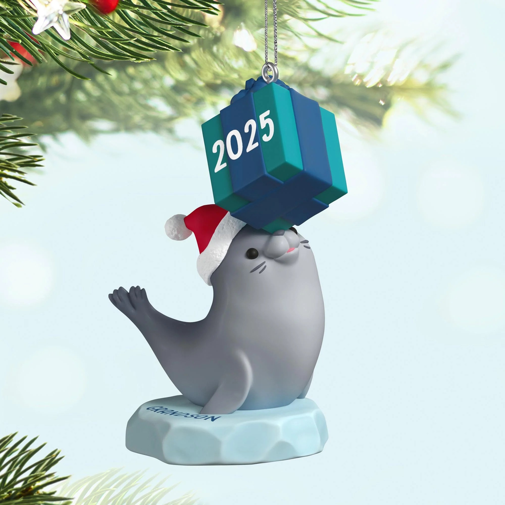 Grandson - 2025 Hallmark Keepsake Christmas Ornament