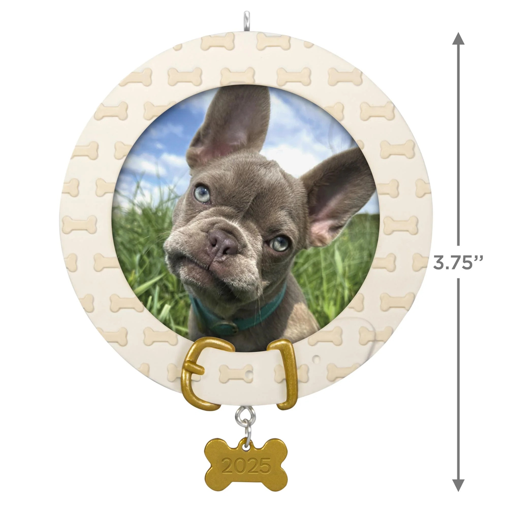 Faithful Friend Photo Holder - 2025 Hallmark Keepsake Christmas Ornament