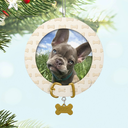 Faithful Friend Photo Holder - 2025 Hallmark Keepsake Christmas Ornament