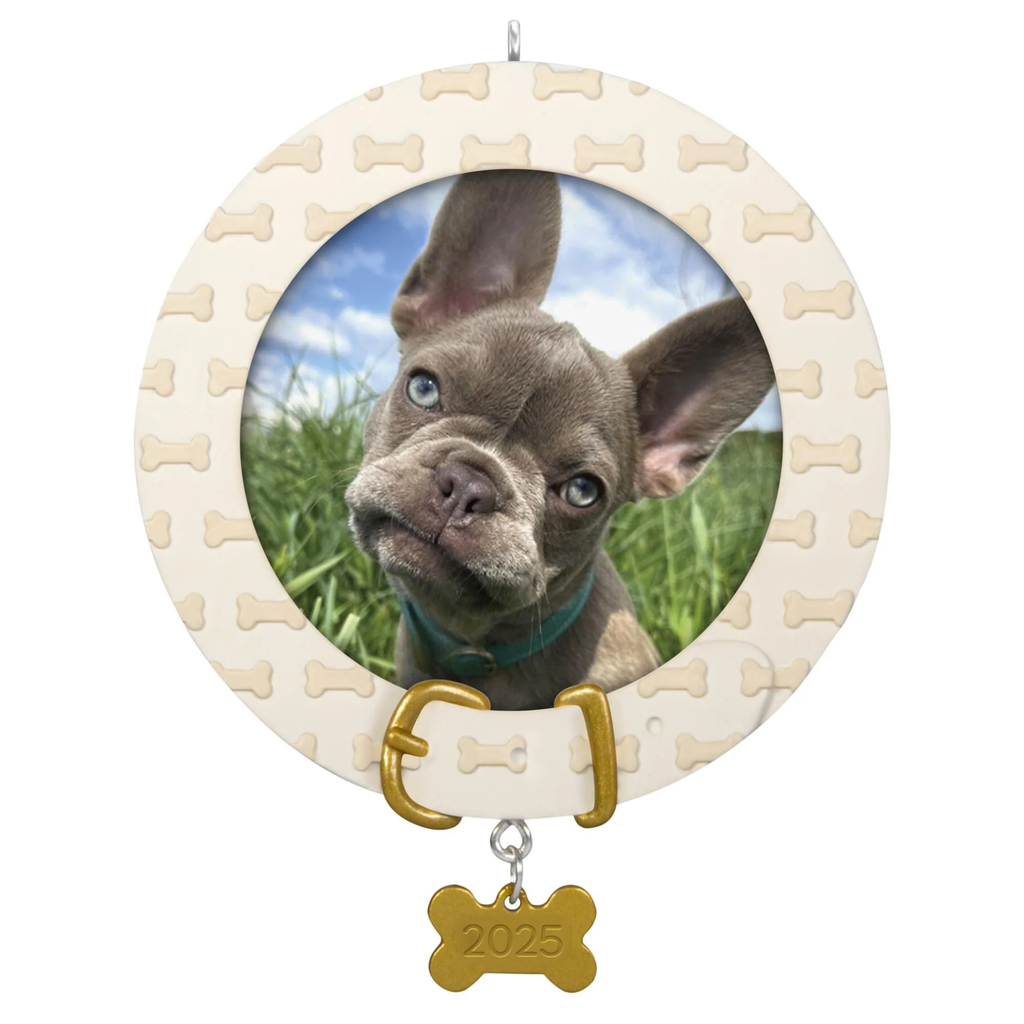 Faithful Friend Photo Holder - 2025 Hallmark Keepsake Christmas Ornament