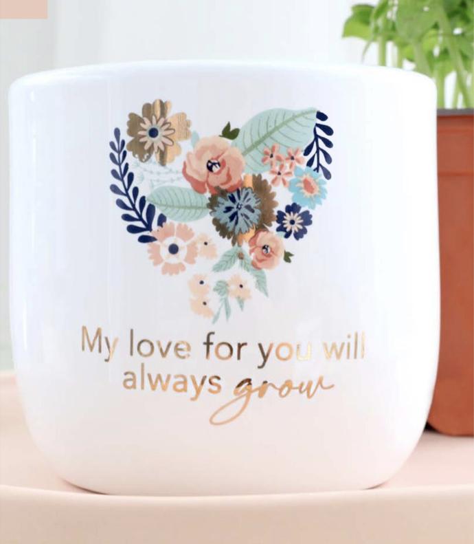 Mother’s Day Floral Planter - Splosh