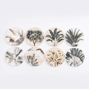 Exotic Yucca Ceramic Coaster - Splosh