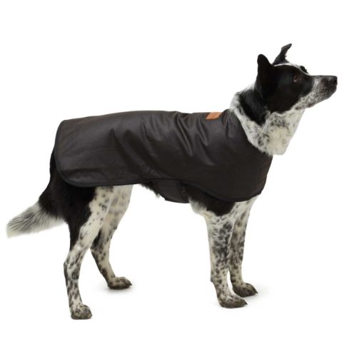 Woollen Dog Coat - Didgeridoonas