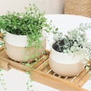 Home Sweet Home Set Of 2 Planters