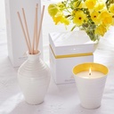 Sophie Conran Energies Candle - Purpose - Bergamont & Cardamom