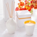 Sophie Conran Energies Candle - Freedom - Pink Pepper & Neroli