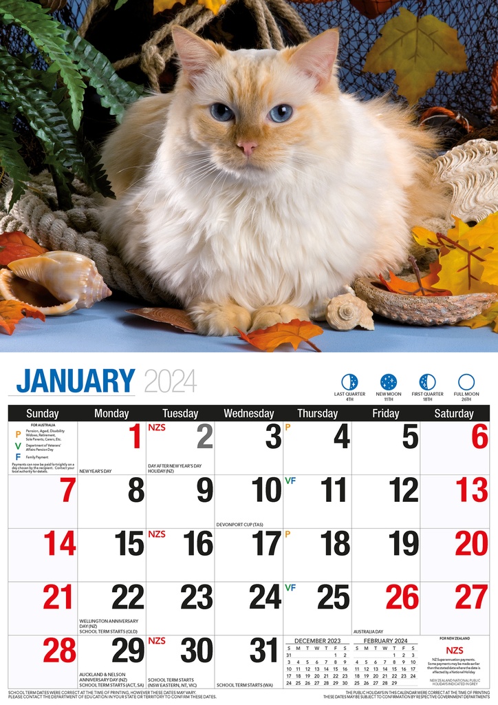 Cute Cats Big Print 2024 Calendar