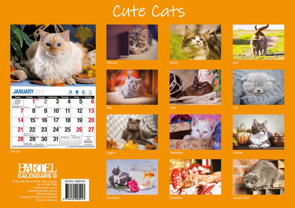 Cute Cats Big Print 2024 Calendar