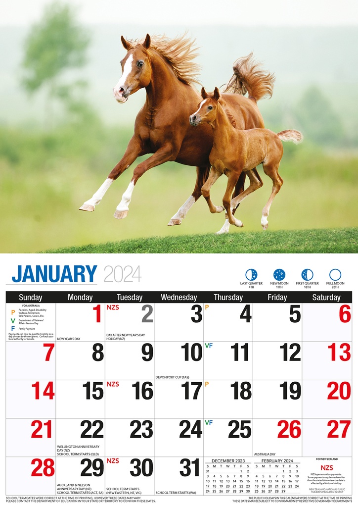Horses Big Print 2024 Calendar
