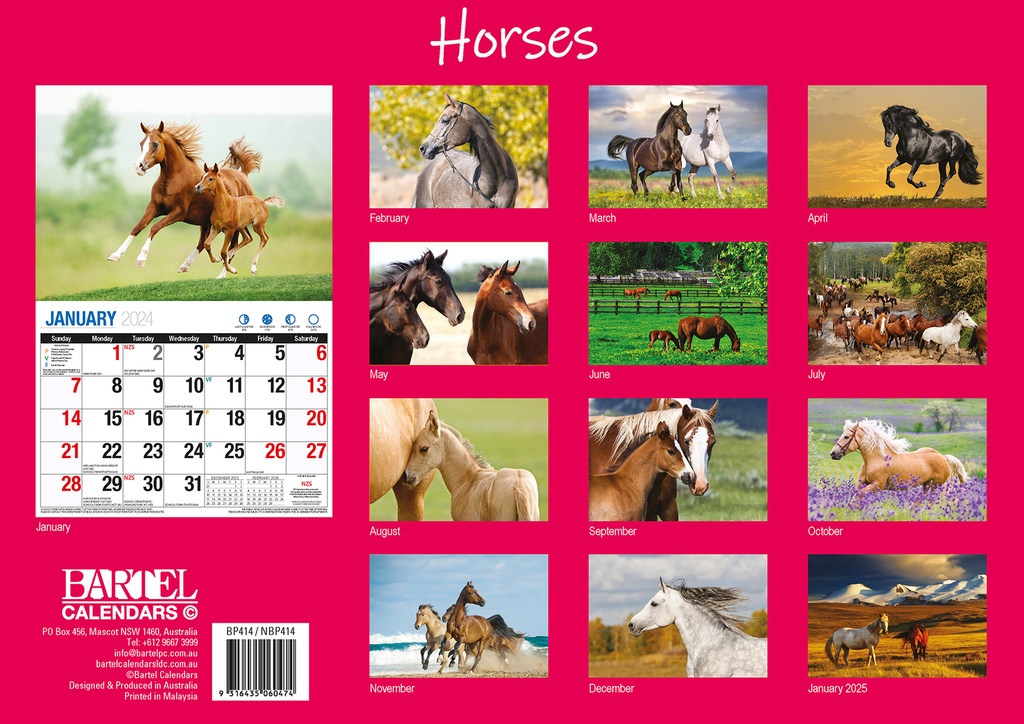 Horses Big Print 2024 Calendar