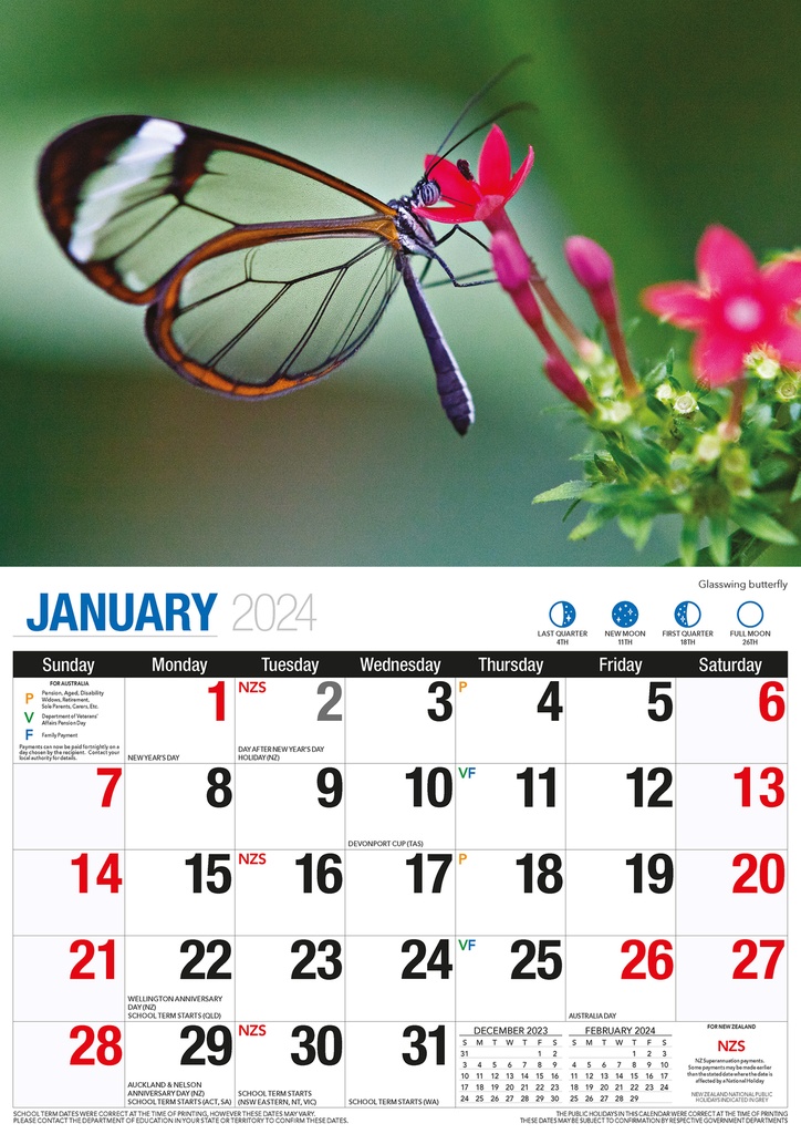 Butterflies Big Print 2024 Calendar