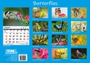Butterflies Big Print 2024 Calendar