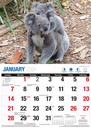 Australian Icons Big Print 2024 Calendar