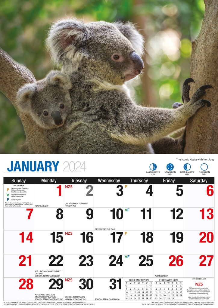 Australian Wildlife Big Print 2024 Calendar