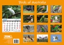 Birds of Australia Big Print 2024 Calendar
