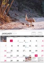 Wildlife of Australia 2024 Calendar
