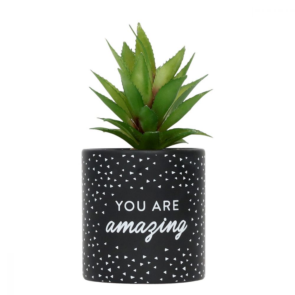 Emotive Pot Plants - You Are Amazing