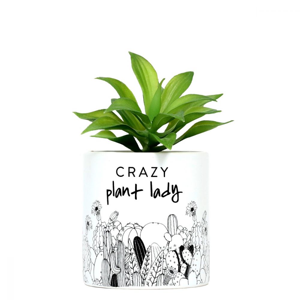 Emotive Pot Plants - Crazy Plant Lady