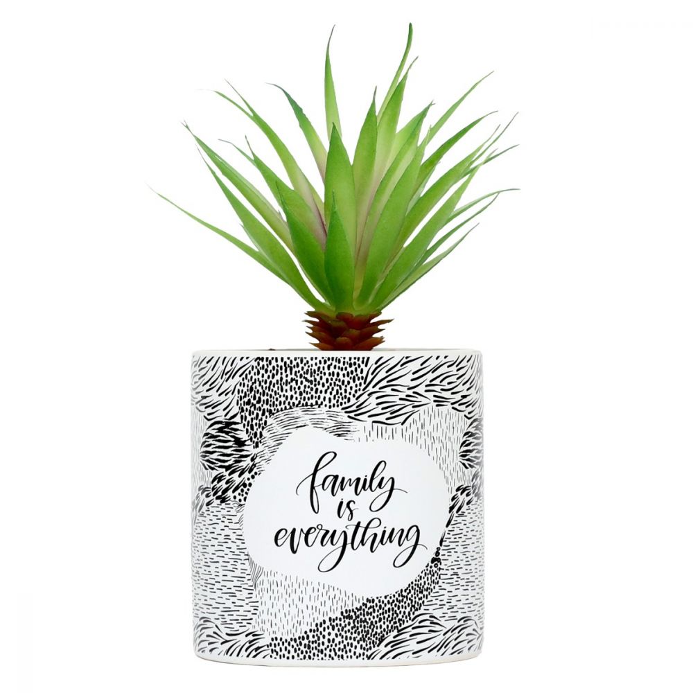 Emotive Pot Plants - Family Is Everything