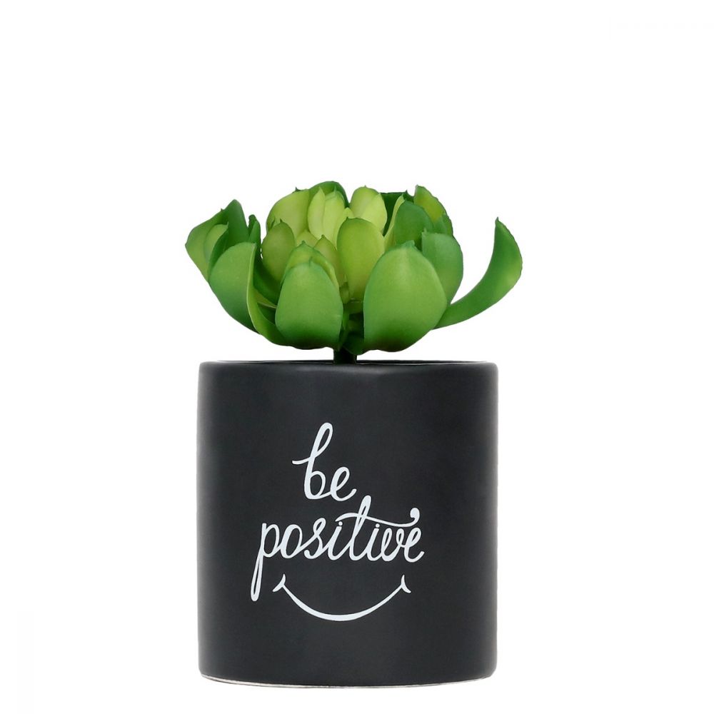Emotive Pot Plants - Be Positive