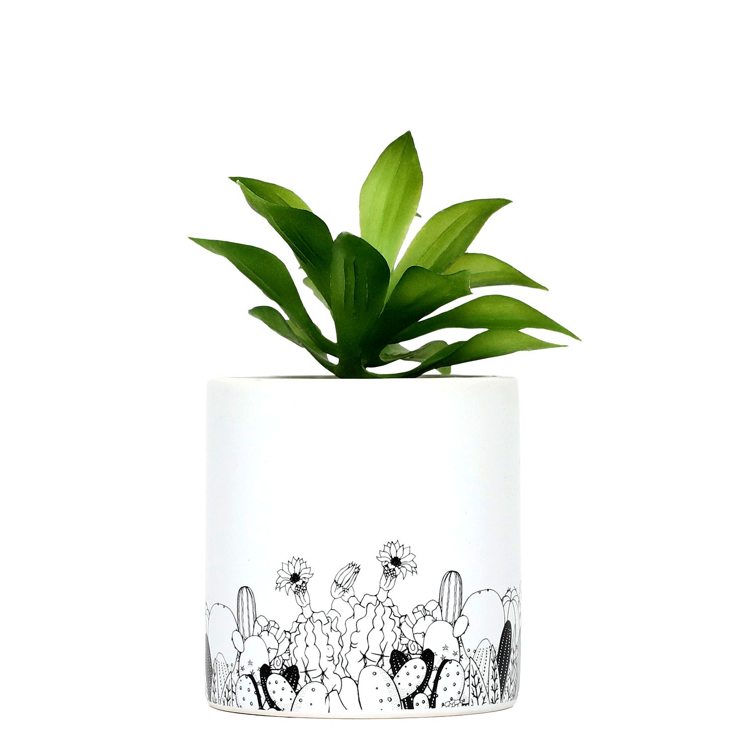 Crazy Plant Lady Pot Plant - Splosh