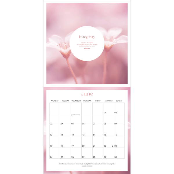 Affirmations Pink 2024 Calendar