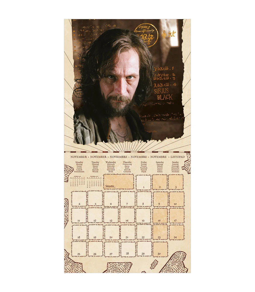 Harry Potter 2024 Calendar