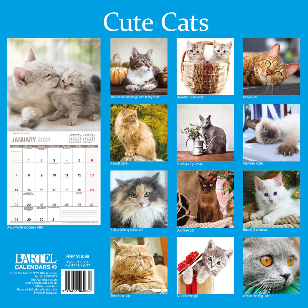 Cute Cats Calendars - Bartel