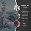 Icy Woodland Medium - WoodWick