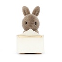 Messenger Bunny - Isalbi
