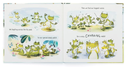 BK4FIN-A-Fantastic-Day-For-Finnegan-Frog-Book-Jellycat