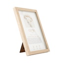 Mystique Framed Print Gemini