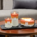 Pumpkin Gourmand Trilogy Medium Candle - WoodWick