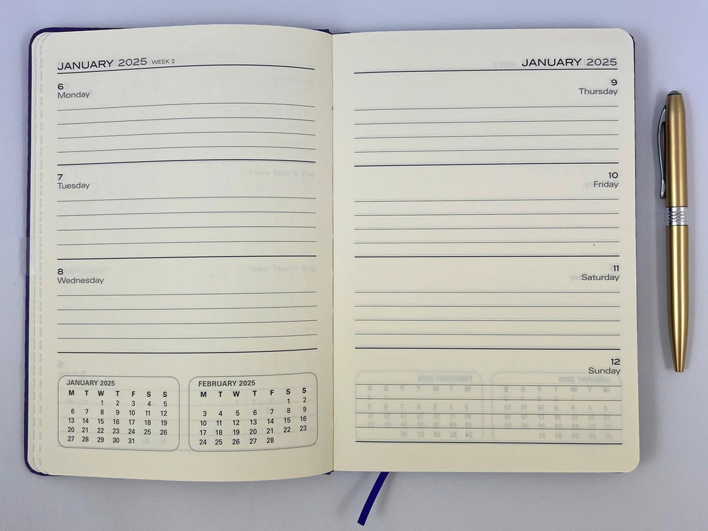 2025 A5 WTV Diary - Violet