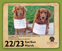 Dog Shaming 2025 Boxed Calendar