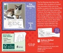 Cat Shaming 2025 Day-to-Day Boxed Calendar