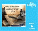 Cat Shaming 2025 Day-to-Day Boxed Calendar