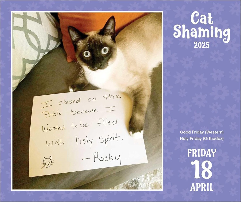 Cat Shaming 2025 Day-to-Day Boxed Calendar