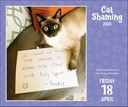 Cat Shaming 2025 Day-to-Day Boxed Calendar