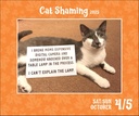 Cat Shaming 2025 Day-to-Day Boxed Calendar