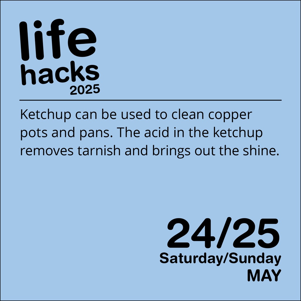 Life Hacks 2025 Day-to-Day Boxed Calendar