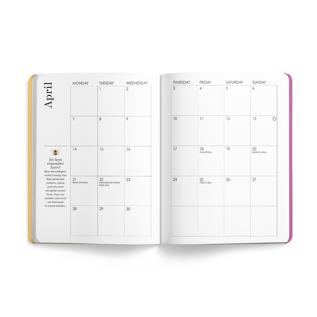 Affirmations 2025 Bee Diary