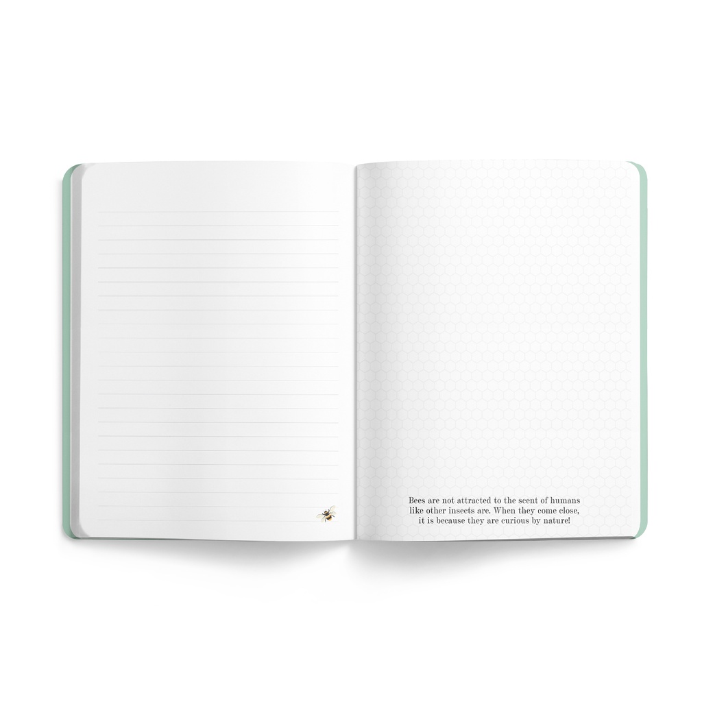 Affirmations 2025 Bee Journal