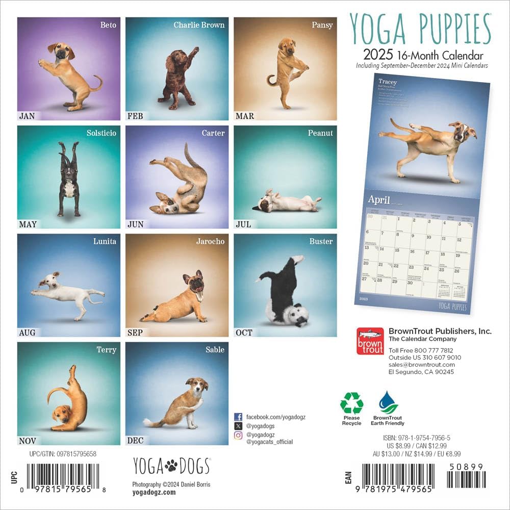 Yoga Puppies 2025 Mini Calendar