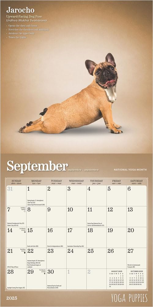 Yoga Puppies 2025 Mini Calendar