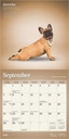 Yoga Puppies 2025 Mini Calendar