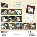 Bichon Frise 2025 Square Calendar