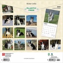 Border Collies 2025 Square Calendar