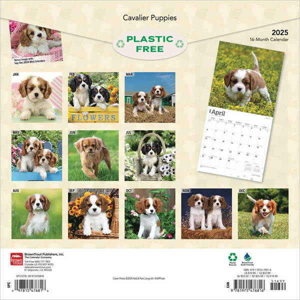 Cavalier King Charles Spaniel Puppies 2025 Square Calendar
